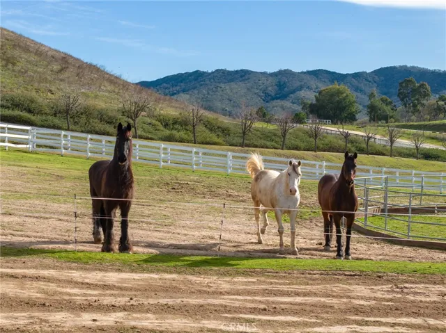 Currently 4 horses on the property