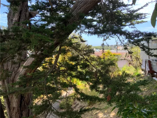 800 Hillcrest Drive, Cambria, California 93428