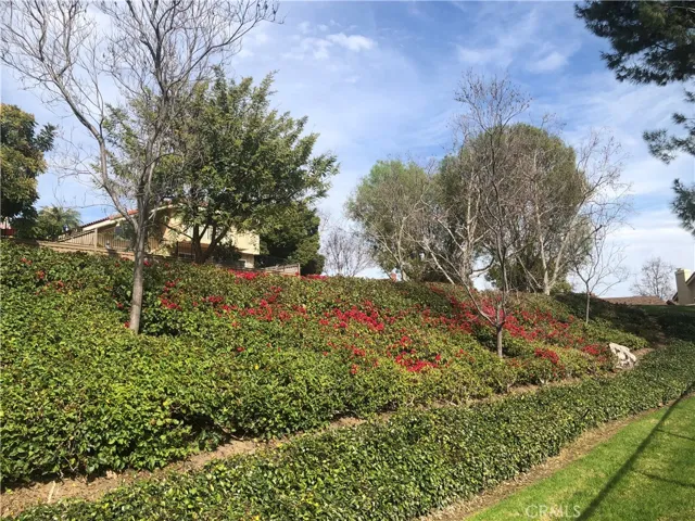 548 Riviera Court, Fullerton, California 92835