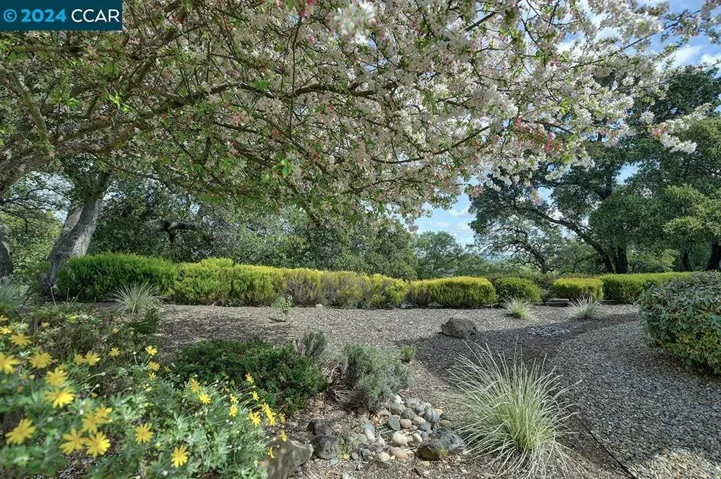 3120 Ptarmigan Dr 2, Walnut Creek, California 94595