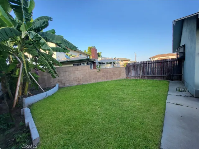 Back Side Yard - PHOTO HAS BEEN PHOTOSHOPPED