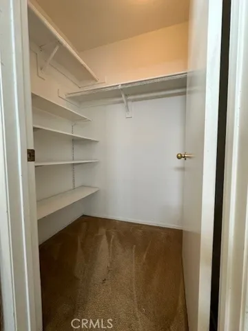 Master Bedroom- Walk In Closet