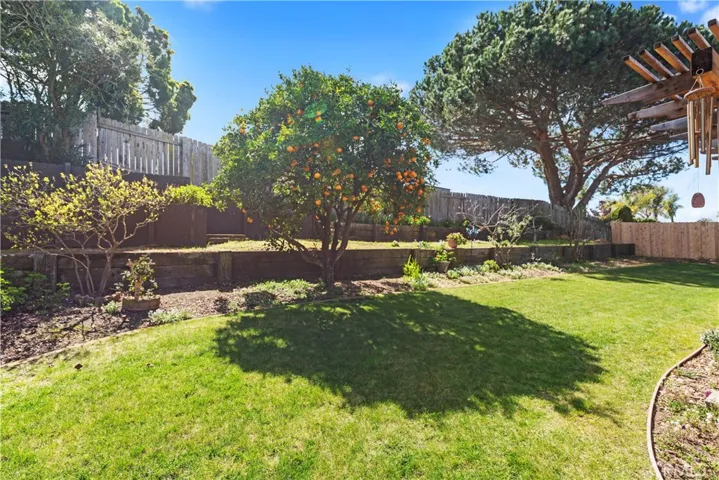 Fruit Trees