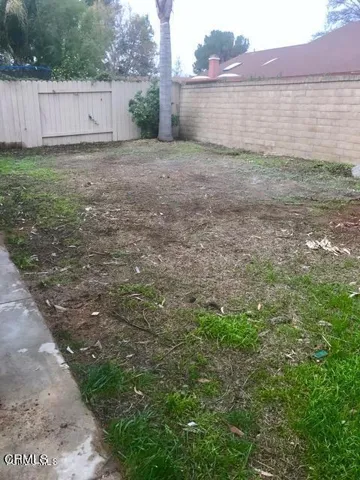 backyard2