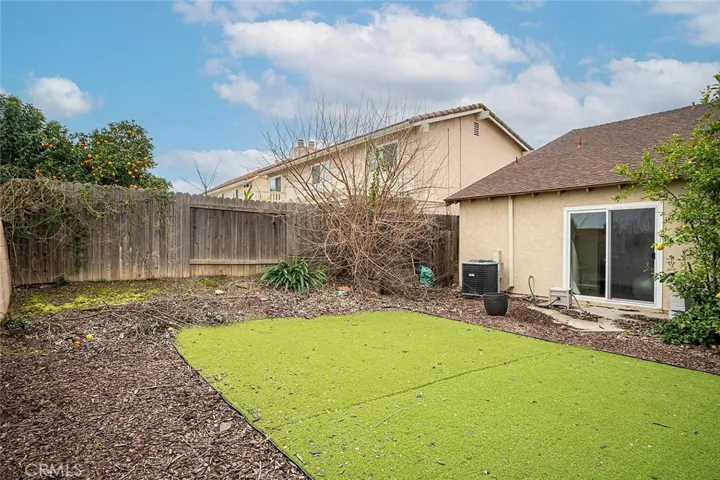 back yard