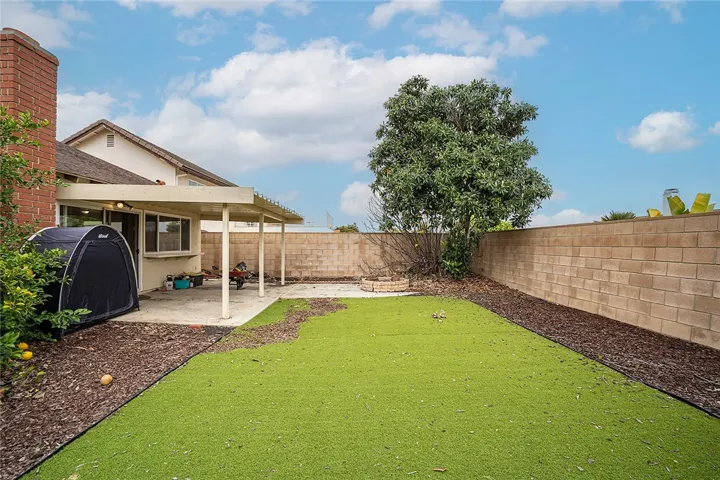 Patio & backyard