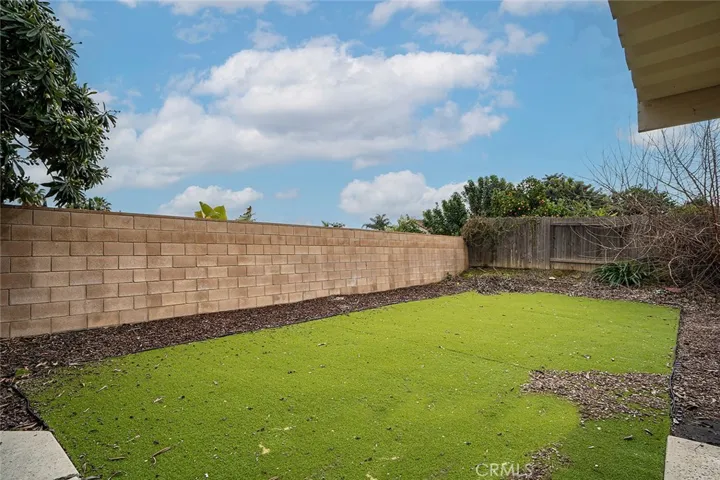 back yard