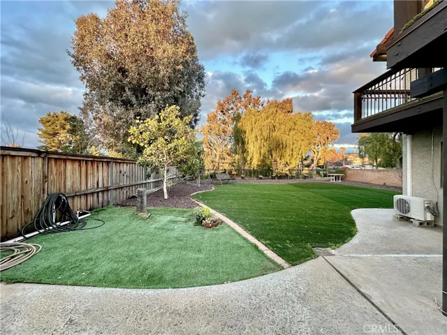 Back yard