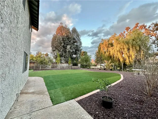 Back/side yard