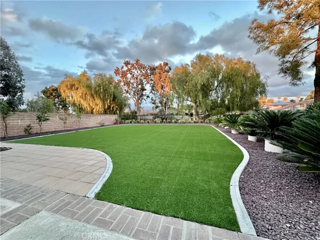 Front side yard
