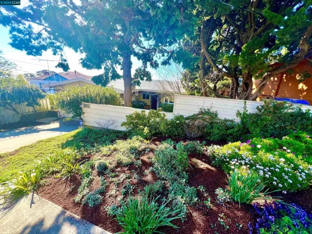 8339 Terrace Drive, El Cerrito, California 94530