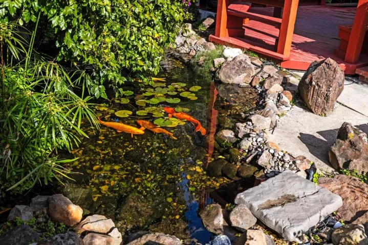 3520 Ross Road, Palo Alto, California 94303