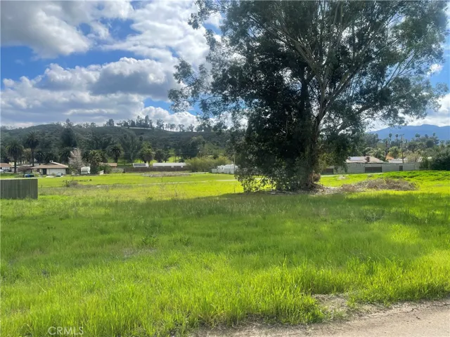 FLAT LOT VIEW