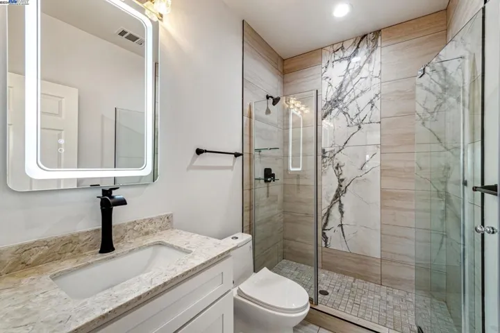 Lower Level Bathroom