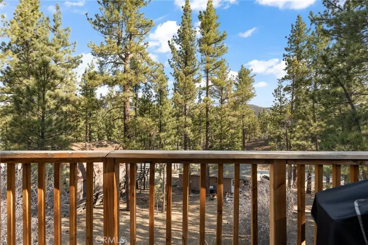 129 W Deer Horn Drive, Big Bear City, California 92314