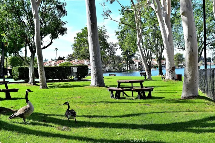 24585 Copper Cliff Court 14, Lake Forest, California 92630