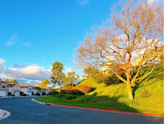 1538 Hermosita Dr., San Marcos, California 92078