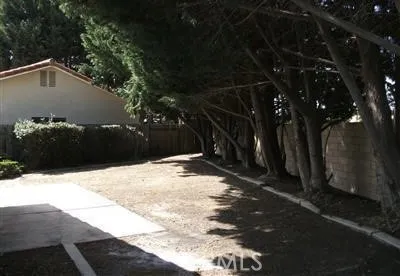 Trees have been cut down