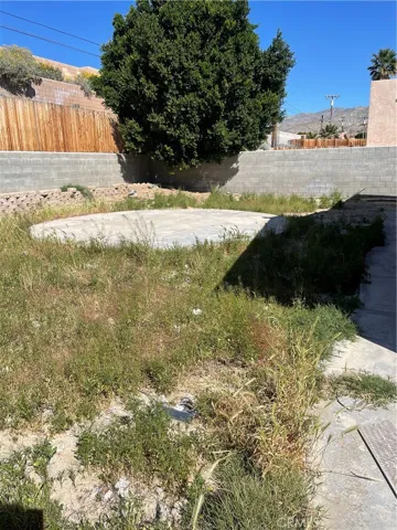 back yard