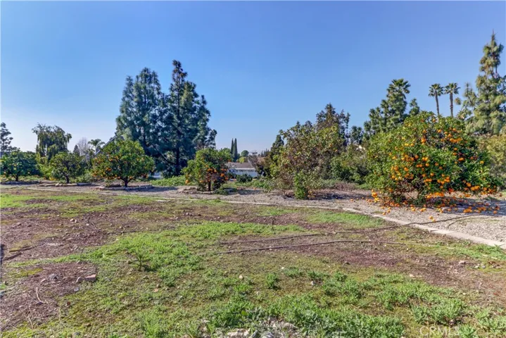 5980 Richfield Road, Yorba Linda, California 92886