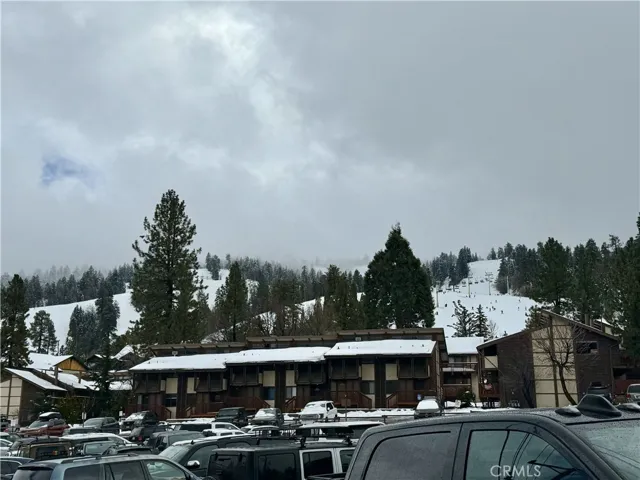 Snow Summit, Standing On Property.  Property Line Backs to Snow Summit Parking Lot