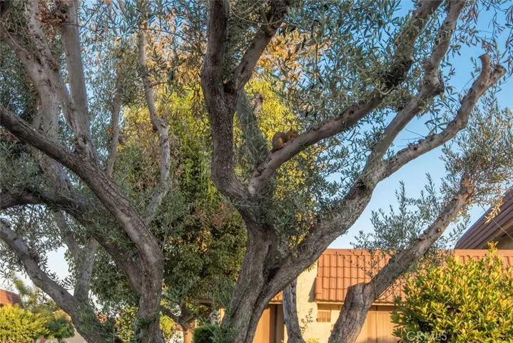 6648 Brewster Court, Cypress, California 90630