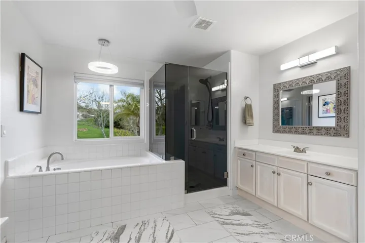 Separate soaking tub and shower with smoked glass shower enclosure!