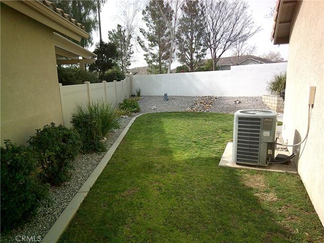 Backyard 1