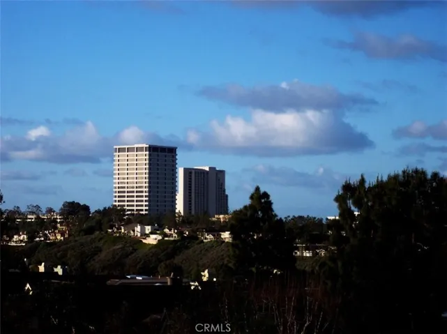 A view of Fashion Island.