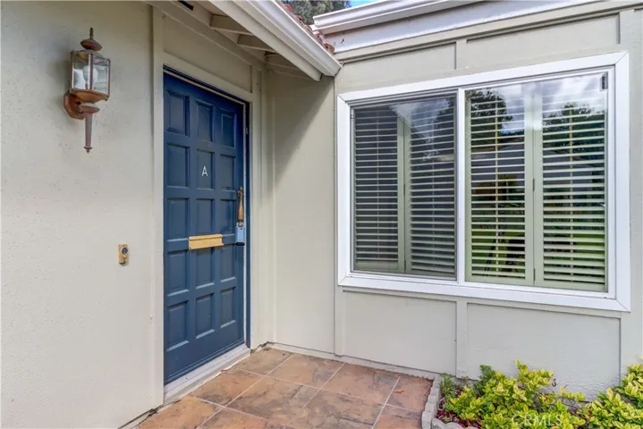 3257 San Amadeo A, Laguna Woods, California 92637