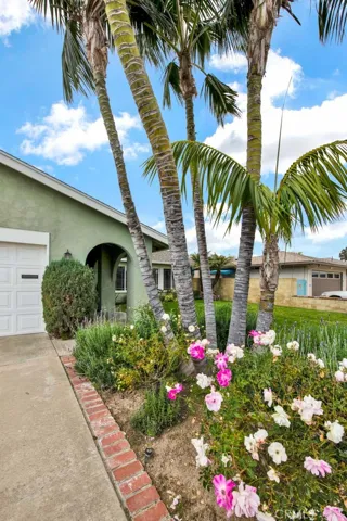 Beautiful Tropical Landscaping