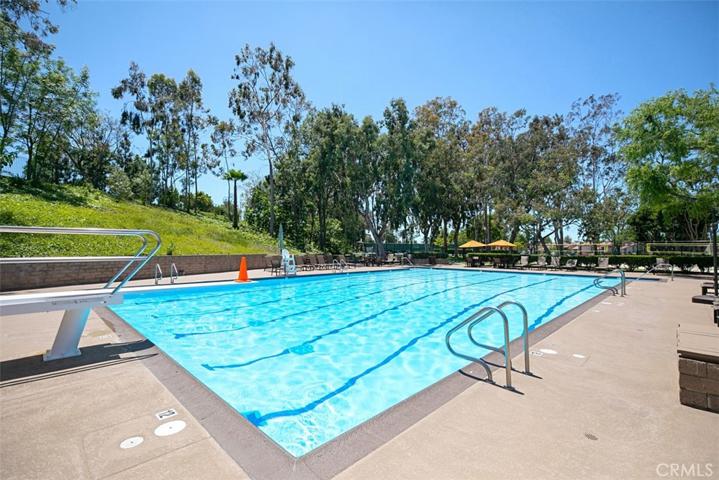 Family pool with diving board.