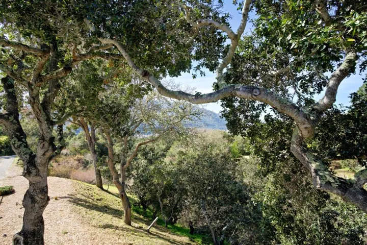 11 De Amaral Road, Carmel Valley, California 93924