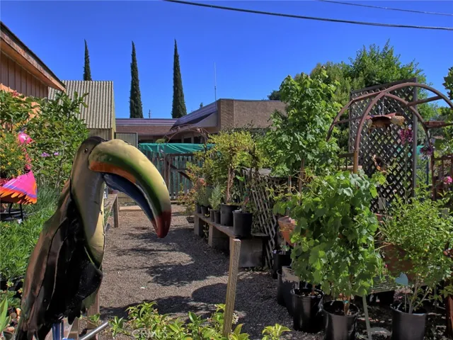 1300 S Main Street, Lakeport, California 95453