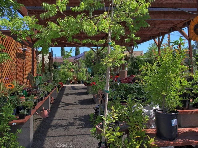 1300 S Main Street, Lakeport, California 95453