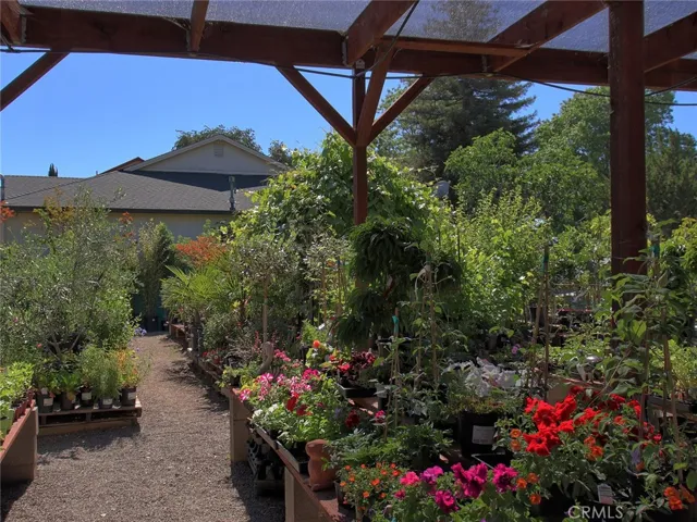 1300 S Main Street, Lakeport, California 95453