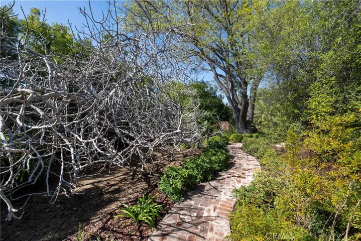Brick pathway in rear garden