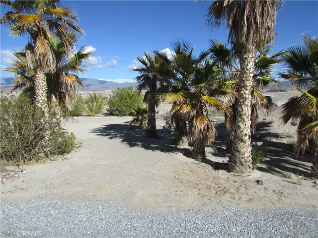 204 Downey Road, Tecopa, California 92389