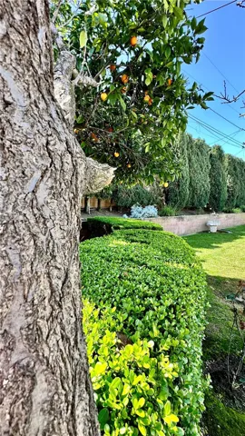 15616 Tetley Street, Hacienda Heights, California 91745