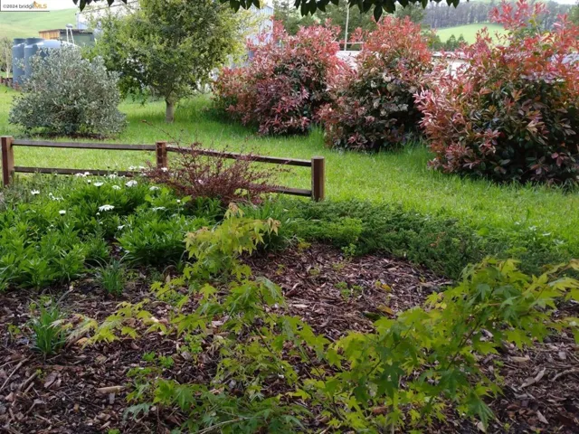 3999 Roblar Rd, Petaluma, California 94952