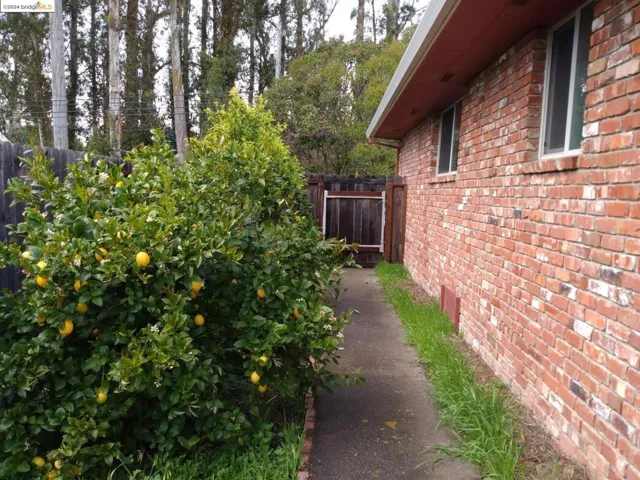 3999 Roblar Rd, Petaluma, California 94952
