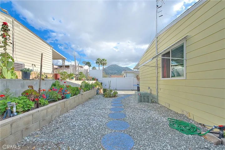 Backyard (3 of 5)