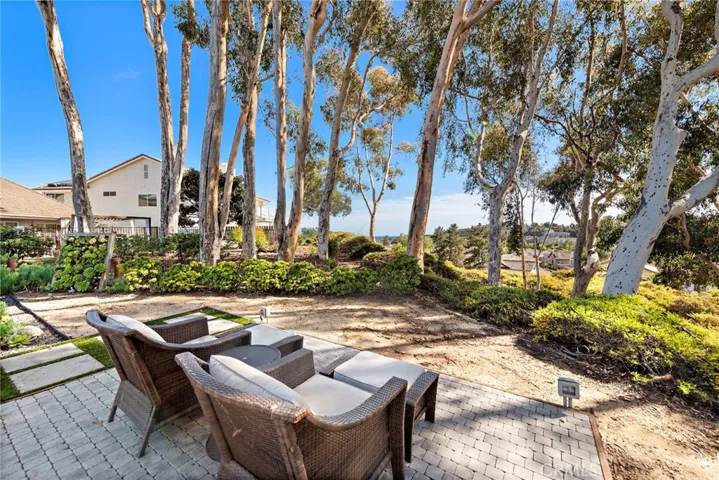 32946 Danaspruce, Dana Point, California 92629