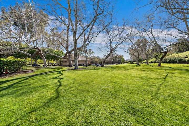 32946 Danaspruce, Dana Point, California 92629