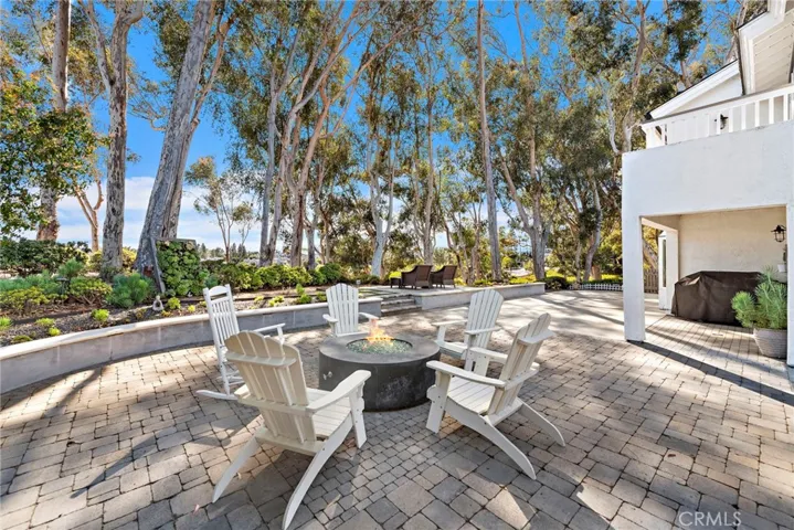 32946 Danaspruce, Dana Point, California 92629