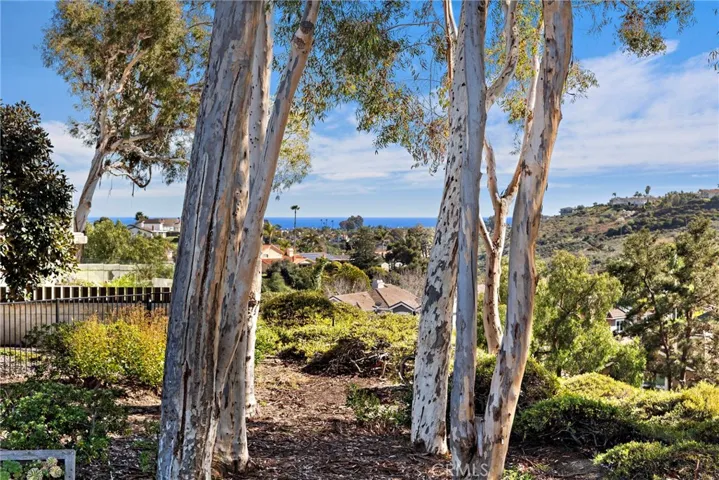 32946 Danaspruce, Dana Point, California 92629