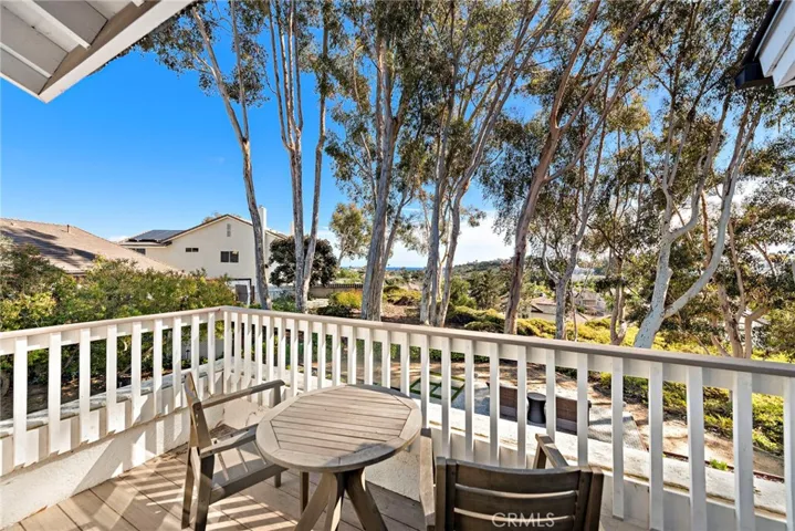 32946 Danaspruce, Dana Point, California 92629