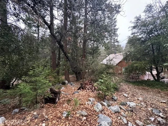 40235 Valley Of The Falls Drive, Forest Falls, California 92339