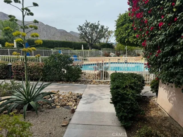 Pool View from Patio