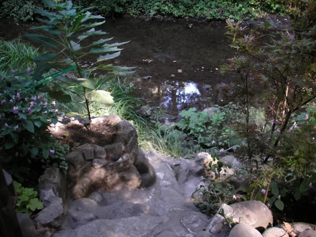 Path to Creek